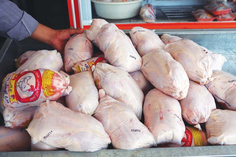 واردات و توزیع 70 تن مرغ در بازار خراسان شمالی از امروز ,